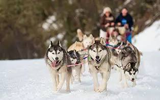 光你想都没想过的夏天！新葡京娱乐城滑雪看
