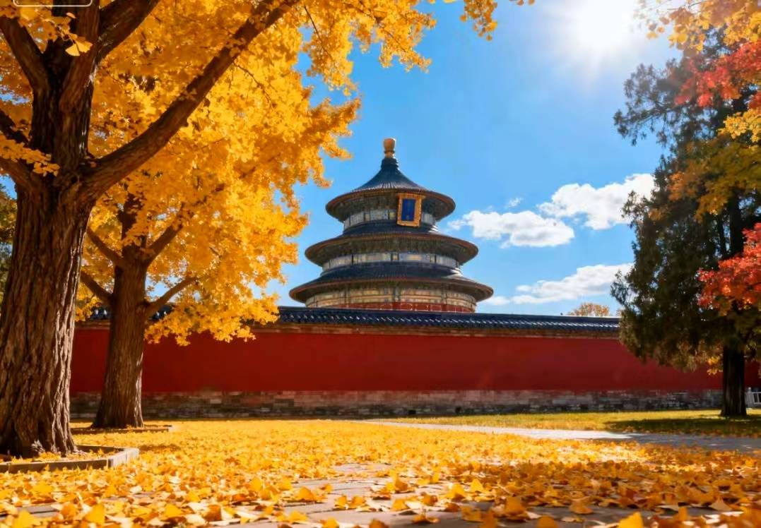 强揭晓：好途旅游领衔品质旅行新标杆新葡京2025北京高端定制游口碑五(图2)