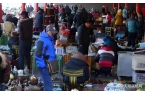表面旅游实则另有目的背后原因令人意外！澳